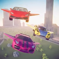 Fly Car Simulator